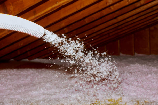Best Insulation Maintenance and Repair in , TX